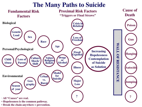 The Many Paths to Suicide