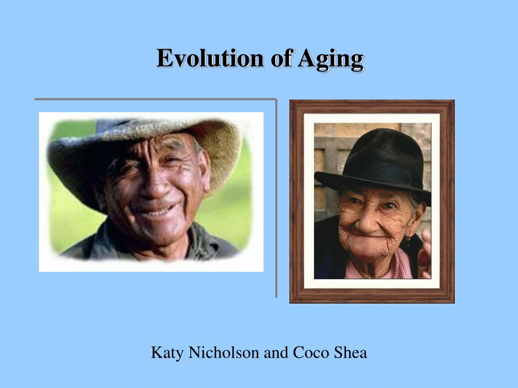 evolution of aging