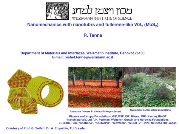 Nanomechanics with nanotubrs and fullerene-like WS 2  (MoS 2 ) R. Tenne
