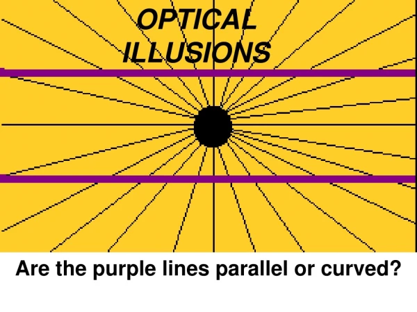 Are the purple lines parallel or curved?