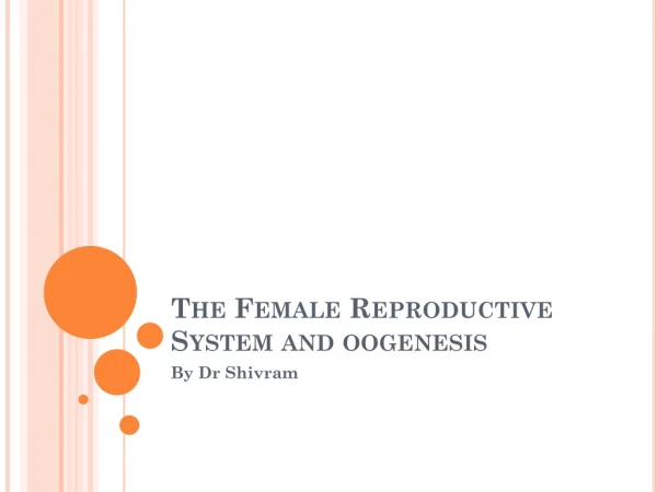 The Female Reproductive System and  oogenesis