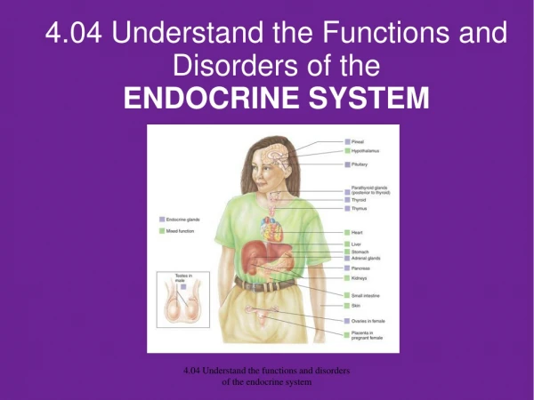 4.04 Understand the Functions and Disorders of the  ENDOCRINE SYSTEM