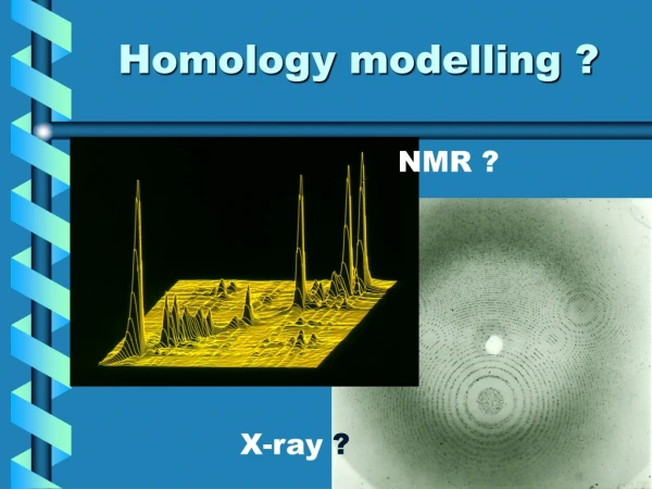 Homology modelling ?