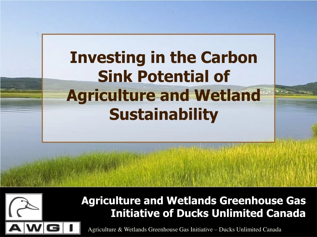 investing in the carbon sink potential of agriculture and wetland sustainability