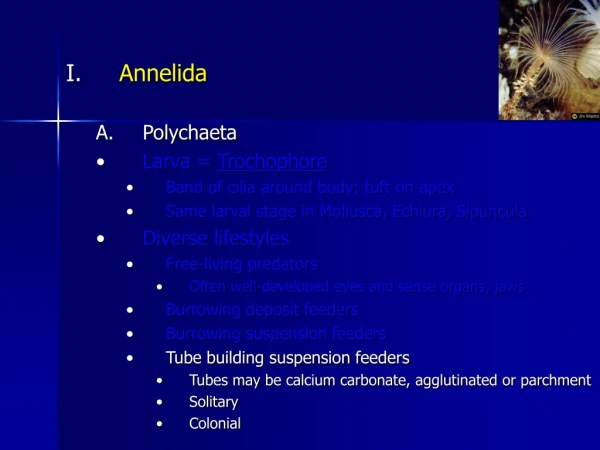 Annelida Polychaeta Larva =  Trochophore Band of cilia around body; tuft on apex