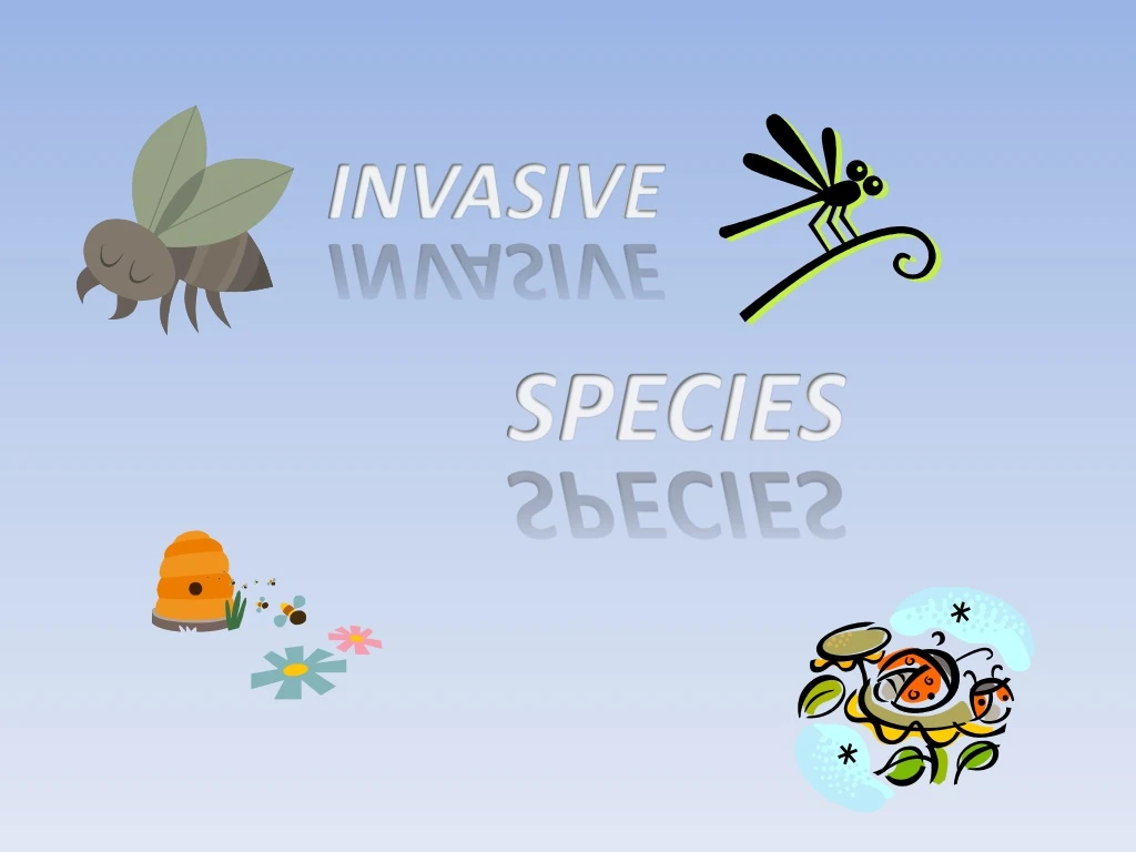 invasive species
