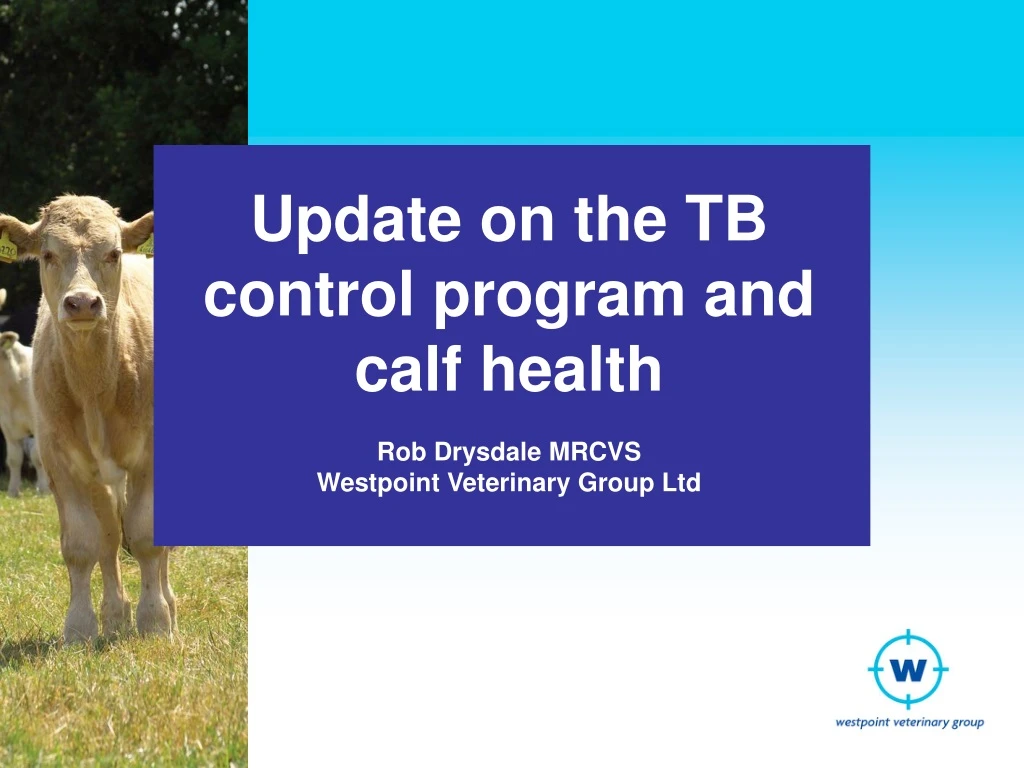 update on the tb control program and calf health