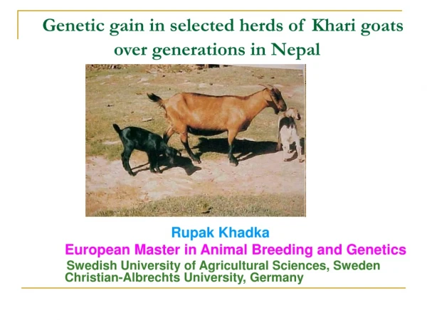 Genetic gain in selected herds of Khari goats over generations in Nepal