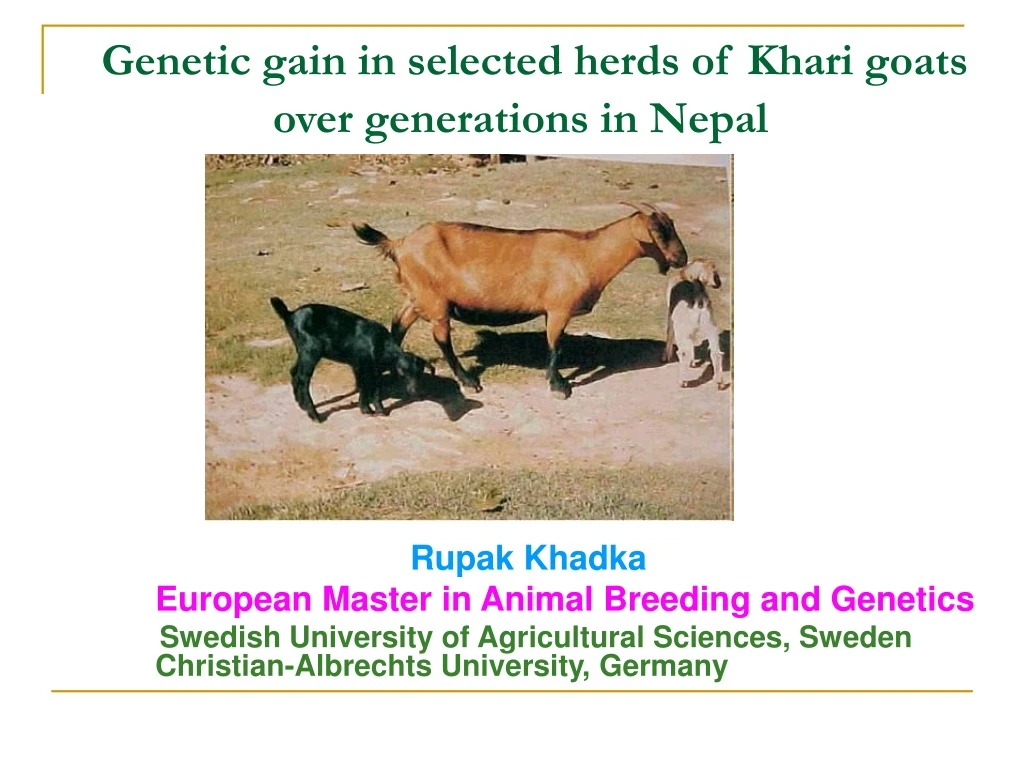 genetic gain in selected herds of khari goats over generations in nepal