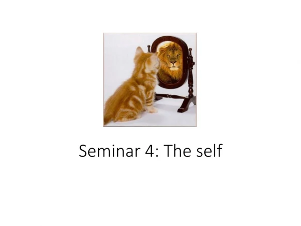 Seminar 4: The self