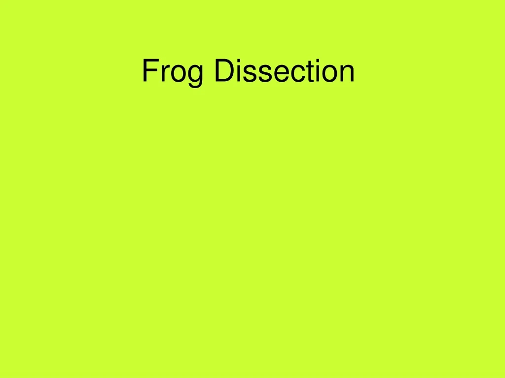 frog dissection