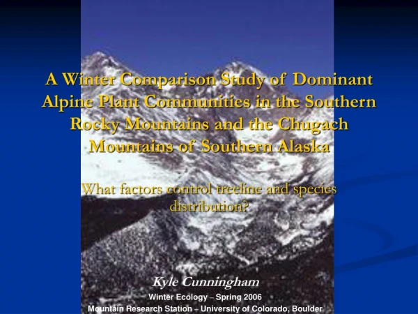 What factors control treeline and species distribution?