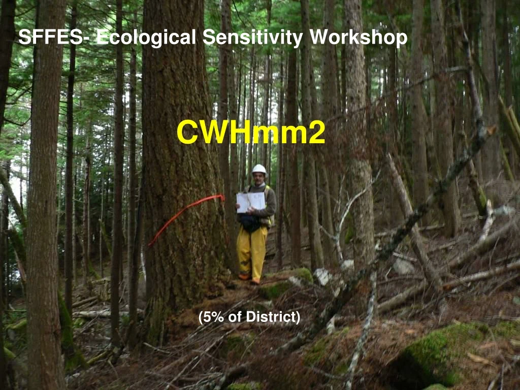 sffes ecological sensitivity workshop