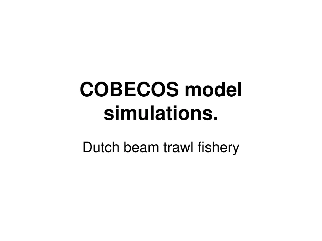 cobecos model simulations
