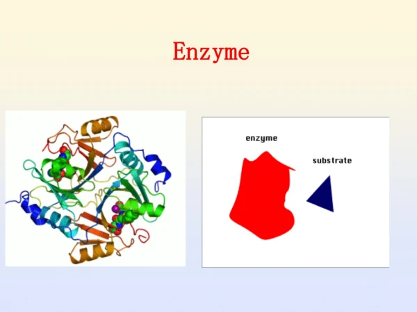 Enzyme