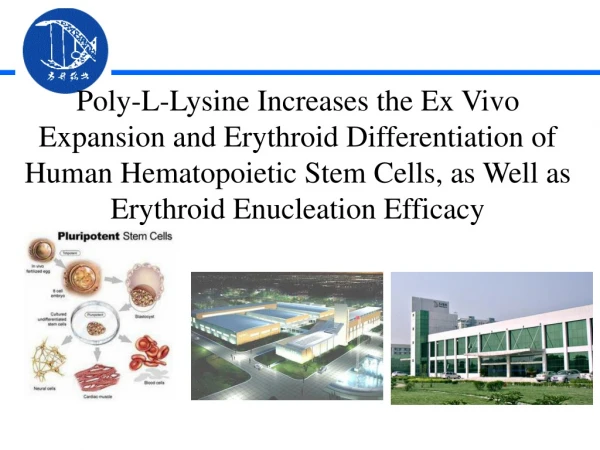 Ex vivo expansion and differentiation of HSCs on PLL substrates