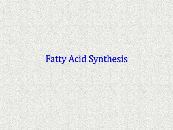 Fatty Acid Synthesis