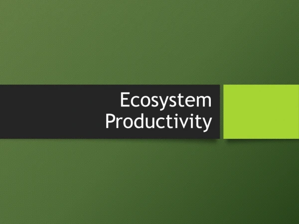 Ecosystem Productivity