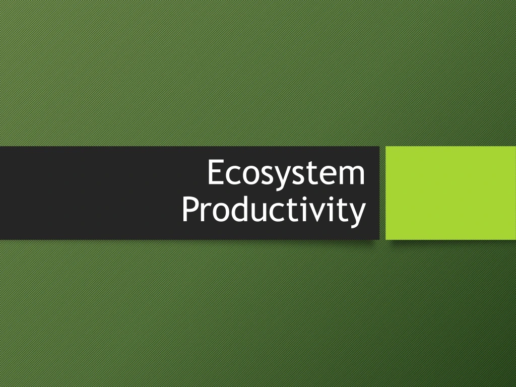 ecosystem productivity
