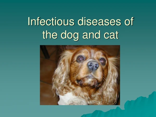Infectious diseases of the  dog  and cat