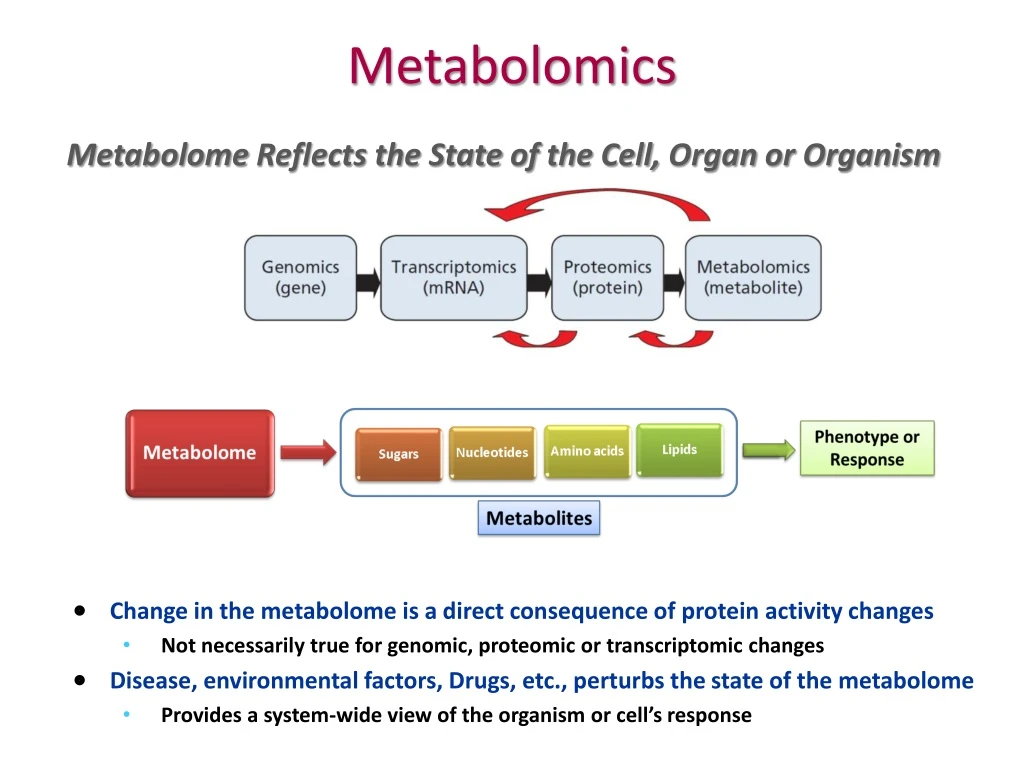 metabolomics