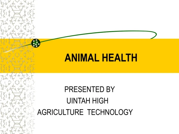 ANIMAL HEALTH