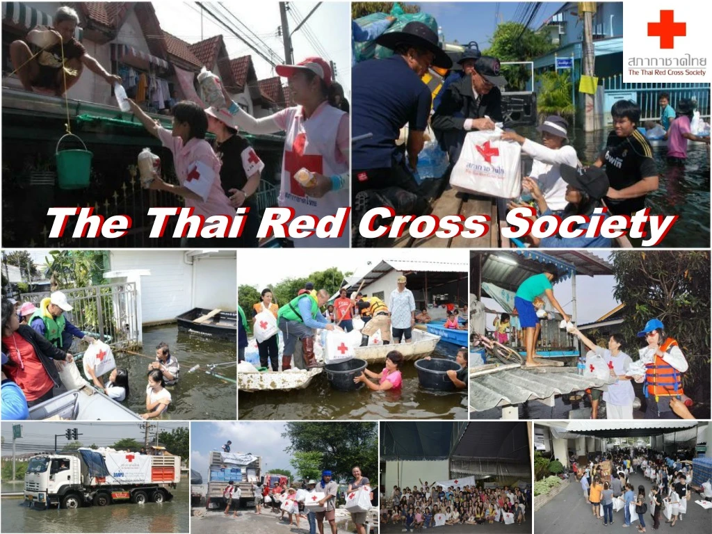 the thai red cross society