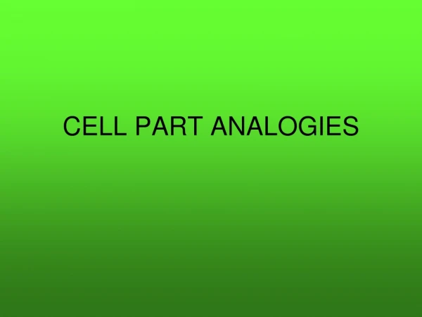 CELL PART ANALOGIES