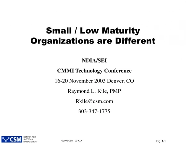 Small / Low Maturity Organizations are Different