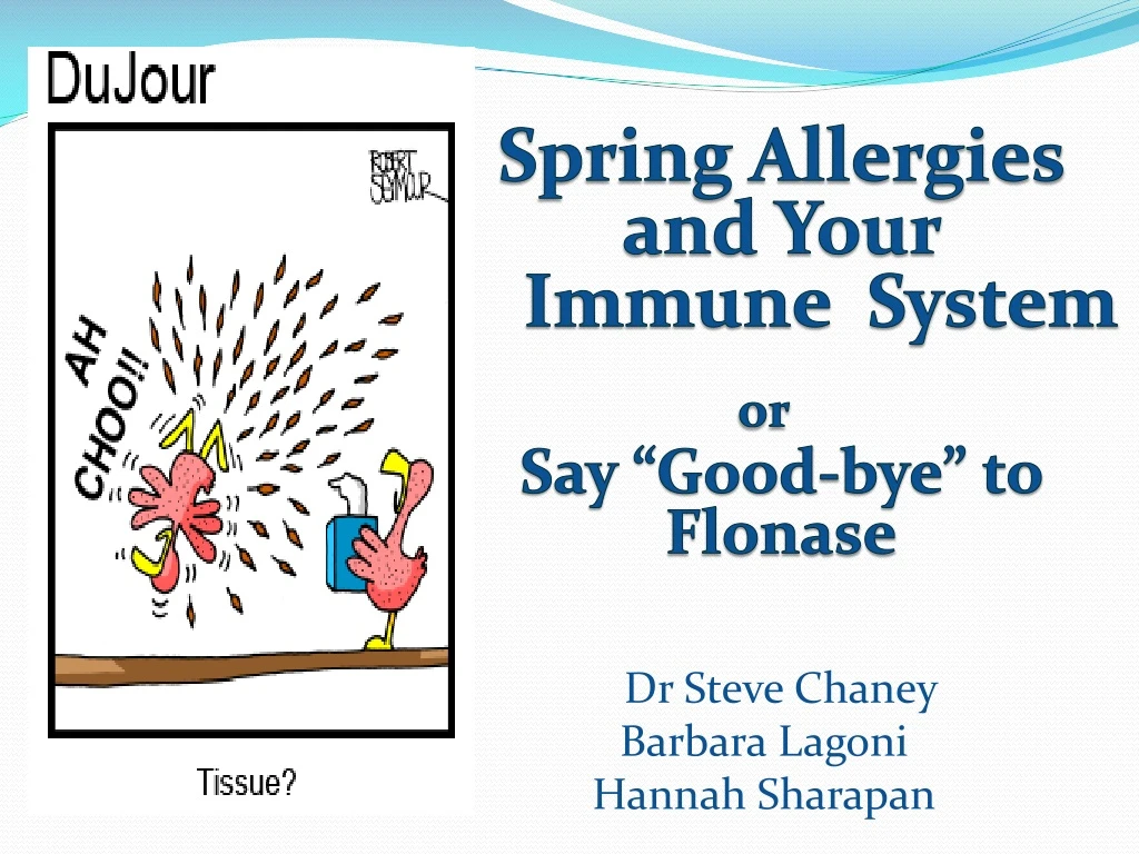 spring allergies and your immune system