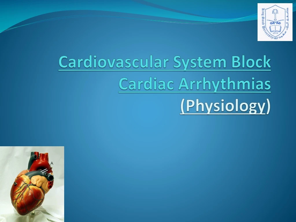 cardiovascular system block cardiac arrhythmias physiology