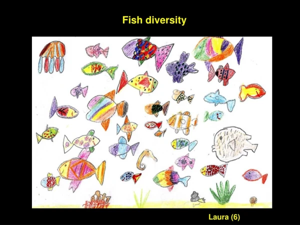 Fish diversity