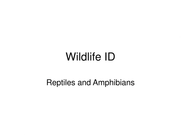 Wildlife ID