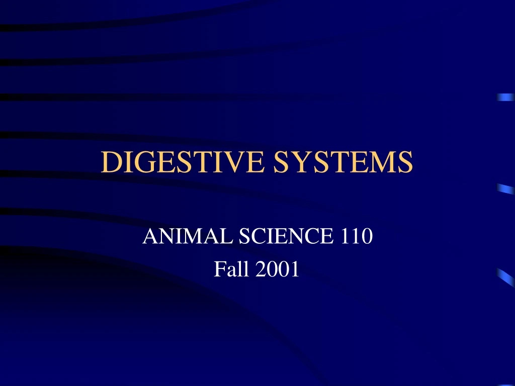 digestive systems