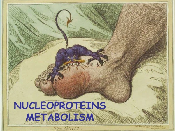NUCLEOPROTEINS METABOLISM