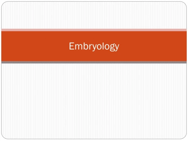 Embryology