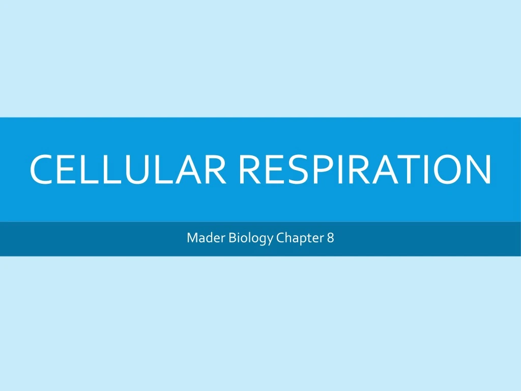 cellular respiration