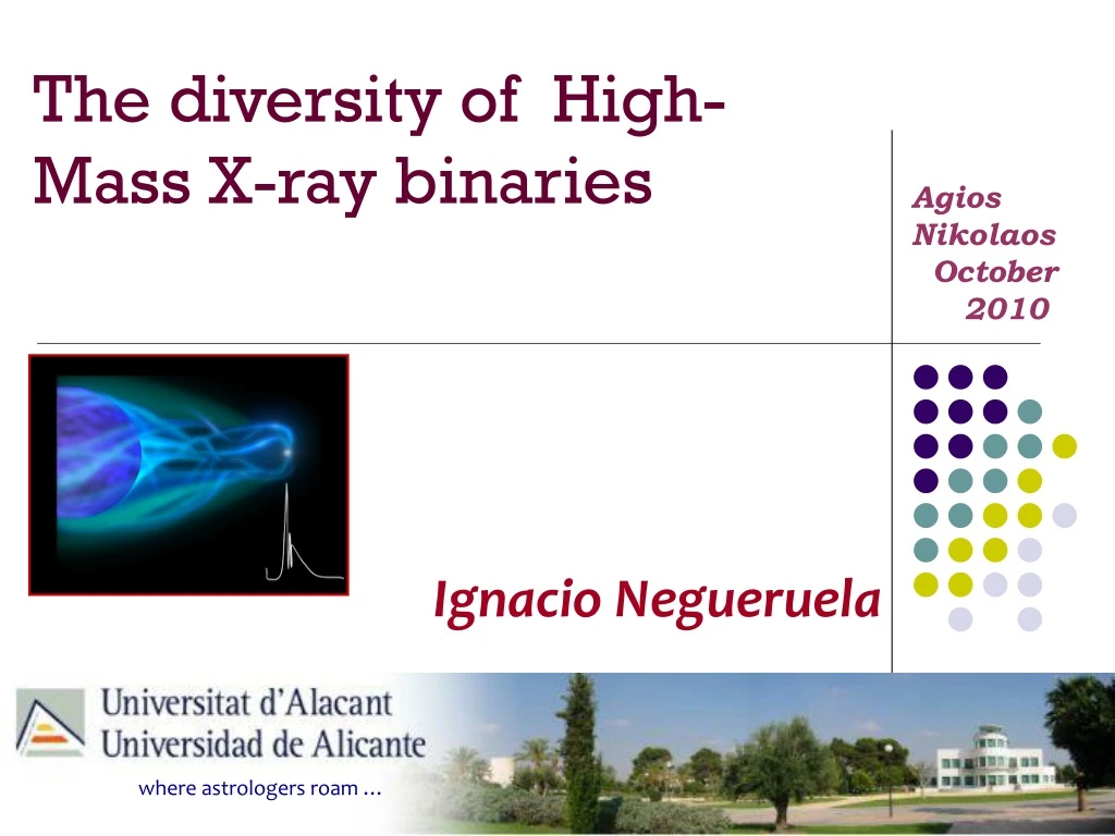 the diversity of high mass x ray binaries