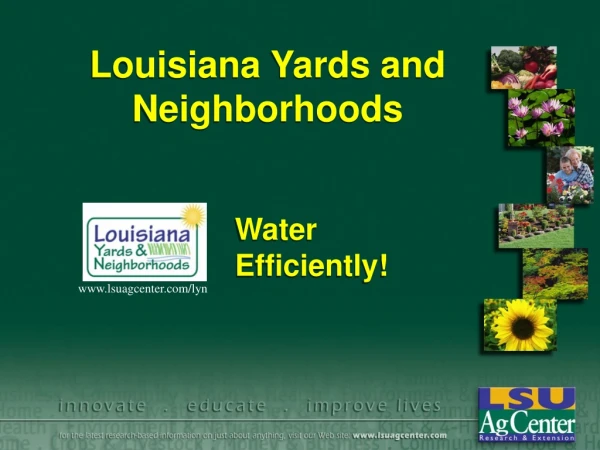 Louisiana Yards and Neighborhoods