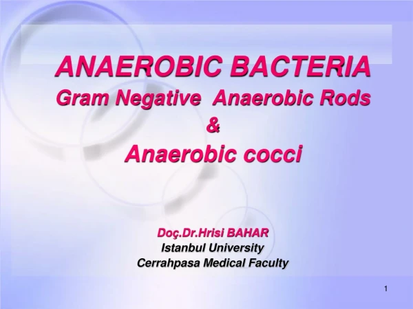 ANAEROBIC BACTERIA Gram Negative  Anaerobic Rods &amp; Anaerobic cocci Doç.Dr.Hrisi BAHAR