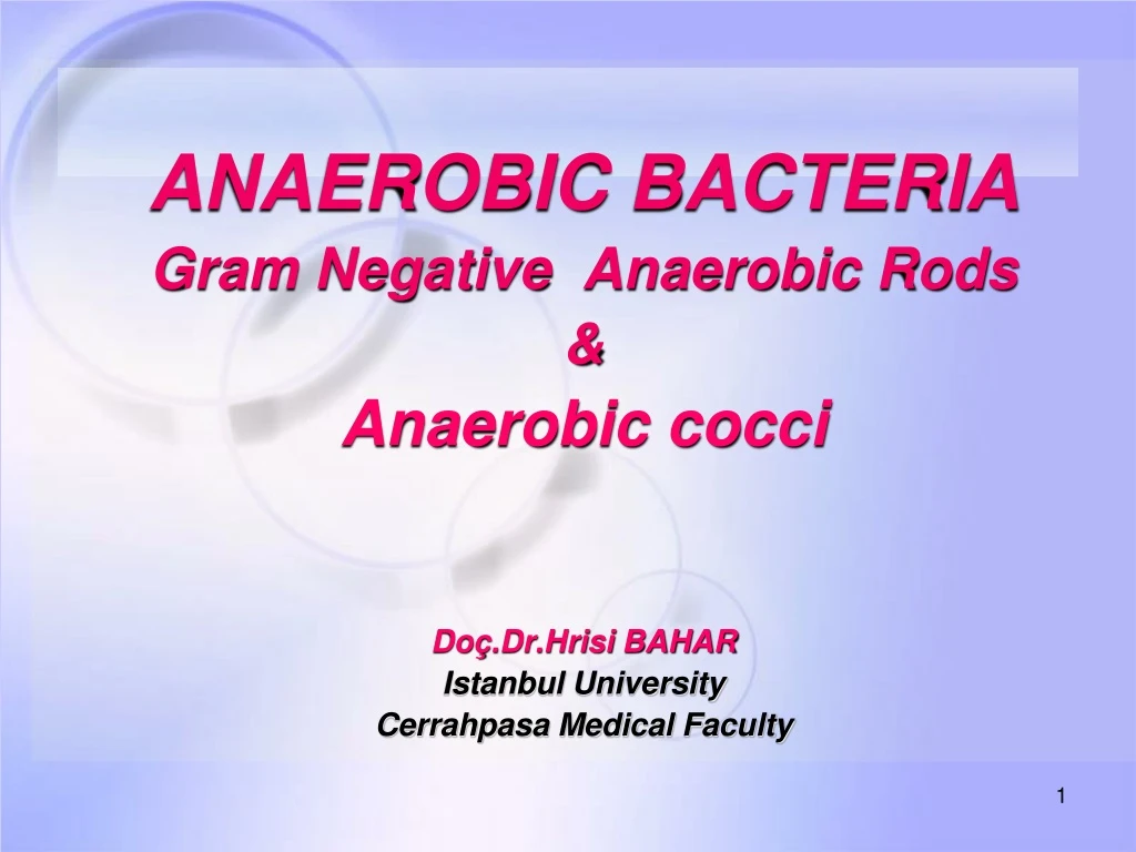 anaerobic bacteria gram negative anaerobic rods