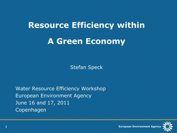 Resource Efficiency within  A Green Economy Stefan Speck   Water Resource Efficiency Workshop