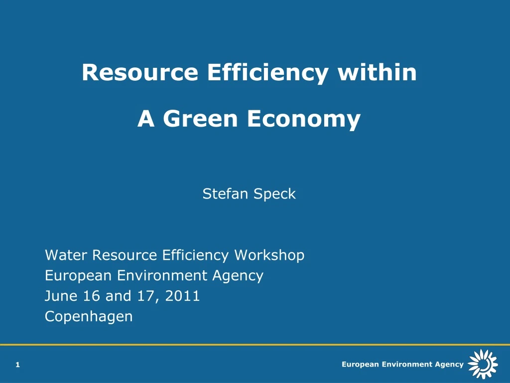 resource efficiency within a green economy stefan