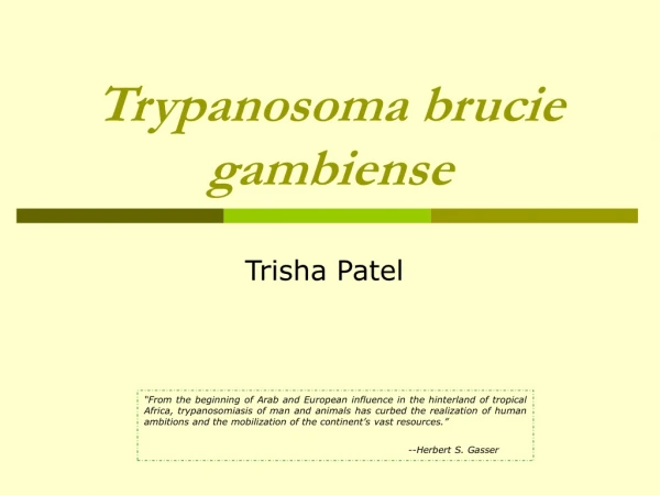 Trypanosoma brucie gambiense
