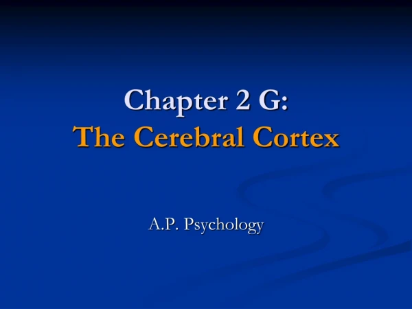 Chapter 2 G: The Cerebral Cortex