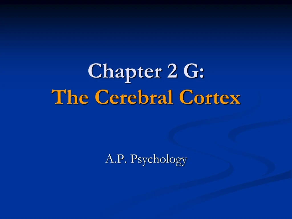 chapter 2 g the cerebral cortex