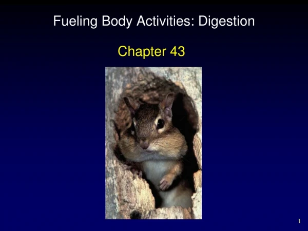 Fueling Body Activities: Digestion