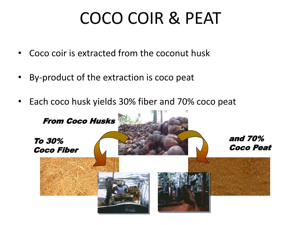 coco coir peat