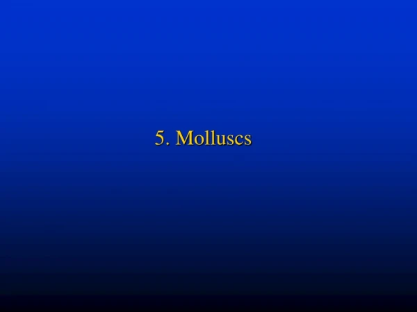 5.  Molluscs