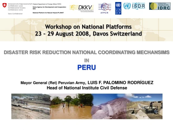 DISASTER RISK REDUCTION NATIONAL COORDINATING MECHANSIMS IN PERU